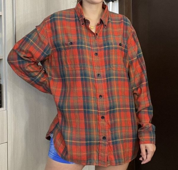 Camisa de cuadros de algodón de la marca LL Bean talla Large Precio $6.00