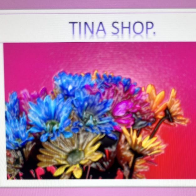 Tina Shop