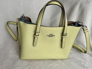 Bolso Coach
