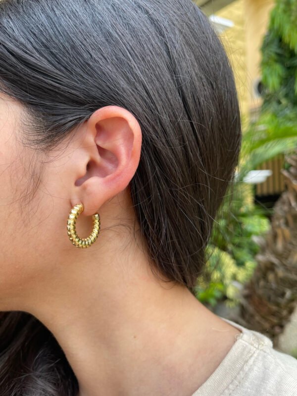 Aretes Eemy - Imagen 2
